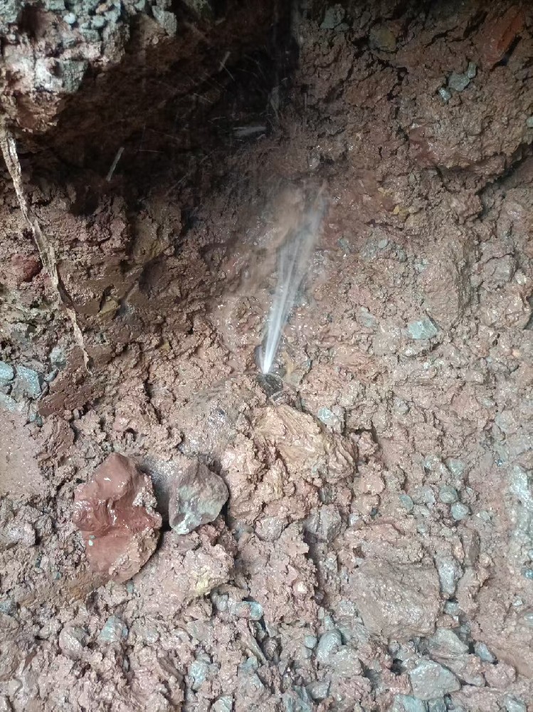 洛宁县本地服务：自来水管漏水检测维修